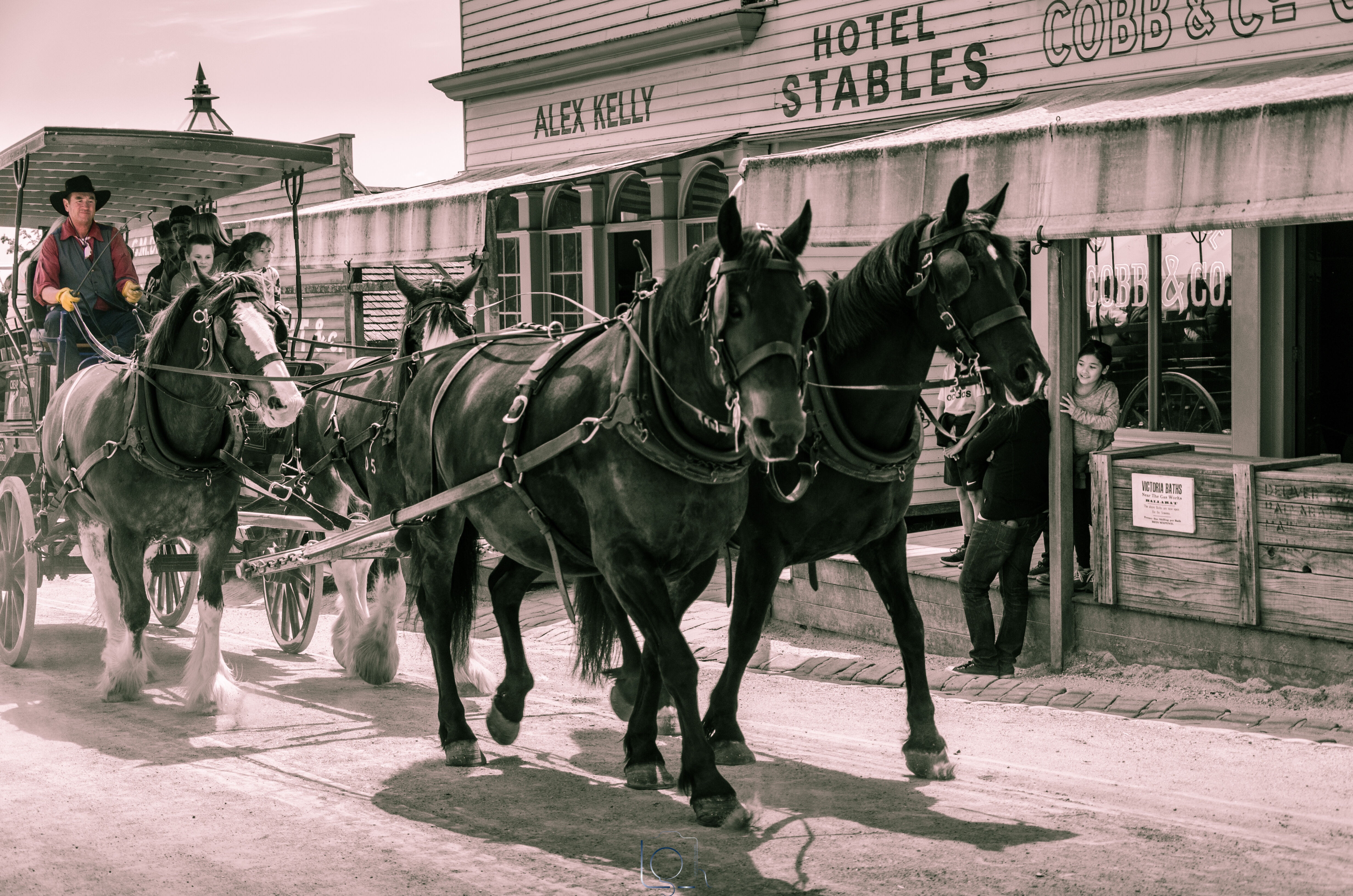 Sovereign Hill horse carriage by Liyat G Haile Photography