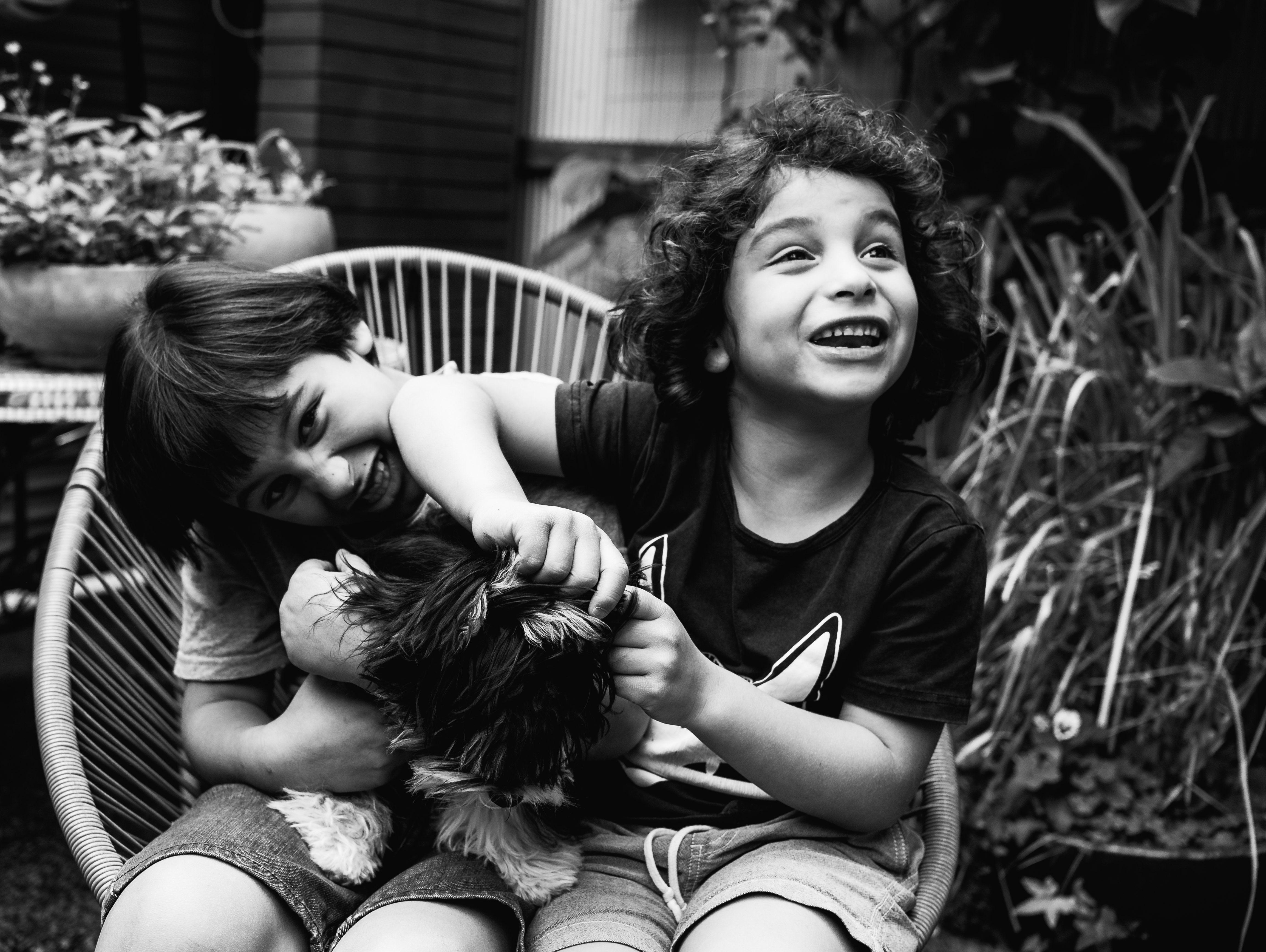 photograph of brothers and their pet dog in Carlton North, Melbourne, Australia