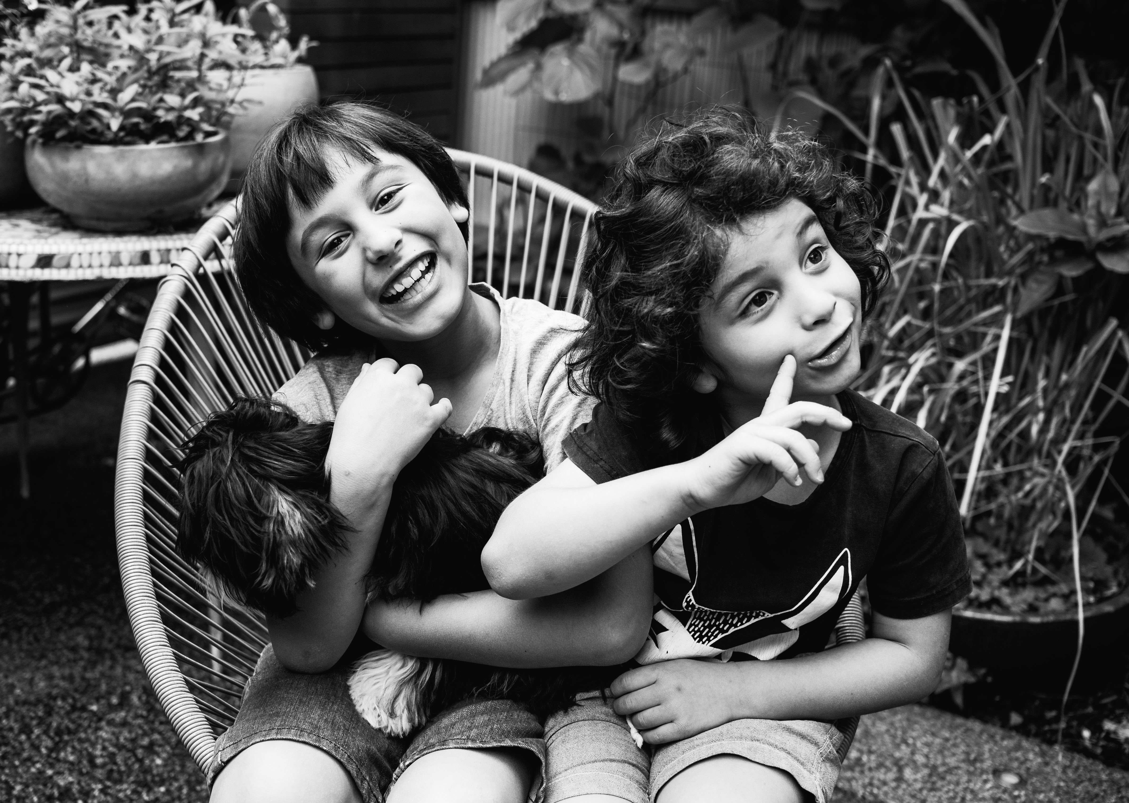 funny photograph of brothers and their pet dog in Carlton North, Melbourne, Australia