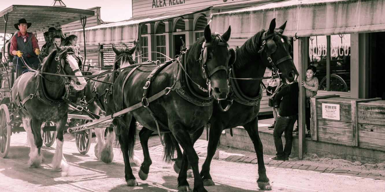 Sovereign Hill horse carriage by Liyat G Haile Photography